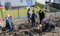 Plantations Cavalier   042